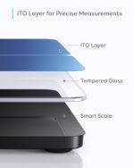Deximpo-Anker-Eufy-Eufy Smart Scale P1-Bangladesh